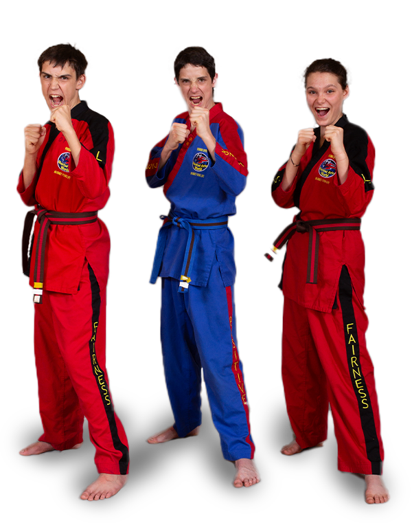 Adult Martial Arts Classes in Chesterfield